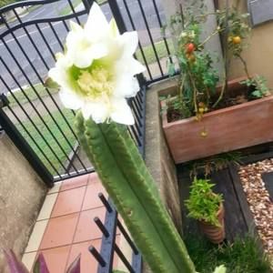 Meet your Posher, Anne